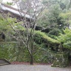 菊池神社登り階段