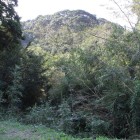 山側に向かって幅広い空堀、藪で見えず