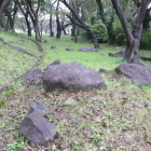 本曲輪周辺下段に散乱する石垣残渣