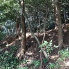 南東中腹の土塁