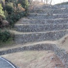 東側（これはつくりものでしょう）