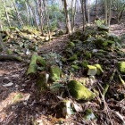 竪石塁が2列写っています。中央と左上