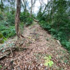 榧の平の北側土塁