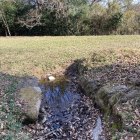 イワオ丸　井戸でしょうか？池でしょうか？水に映った空が綺麗です。
