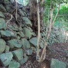 西登り石垣③