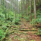 登城路 before　難なく登城