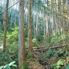 登城路 after　アスレチック登城