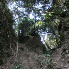 新城