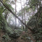 下城