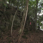 正面岩の上が主郭