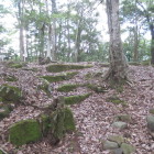 石の虎口
