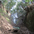 小唯城