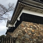 野面積み石垣