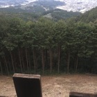 展望台眼下、伐採状況