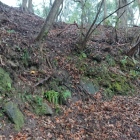 北野神社の奥、石積も見られます
