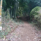 長徳寺近くの登城口
