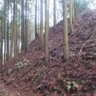 主郭西側の切岸