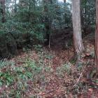大谷吉継陣跡の塹壕状の土塁と横堀