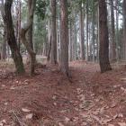 主郭東部の虎口