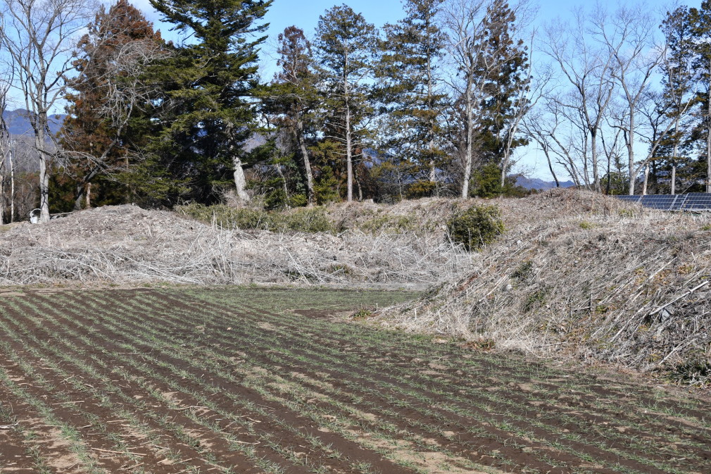 [諏訪城] 城びと