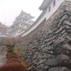 雨の郡上八幡城