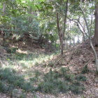 城山神社裏手の深い堀