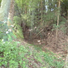 荒れているワイルドな遺構も残る