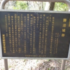 解説版