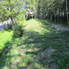 竹林園入口の土塁