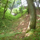 入口近くの堀底道