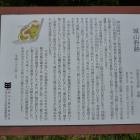 解説版