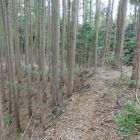 土塁