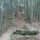 竪堀