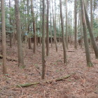 郭