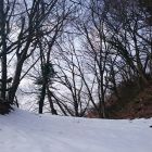 直峰城南東側堀切