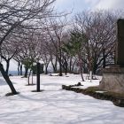直峰城主郭1