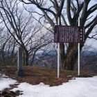直峰城主郭3
