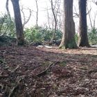 直峰城観音堂＆南側土塁