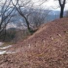 直峰城主郭虎口