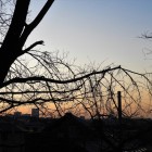 城山公園から西（町田駅）側