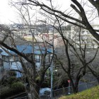 城山公園から北西（恩田川上流方面）側