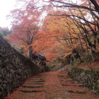本坊喜見院近くの僧坊跡の石垣と紅葉。