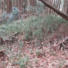 馬出