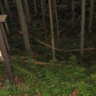 北城南虎口