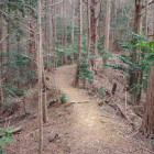 大手道。綺麗に整備していただいています。感謝。