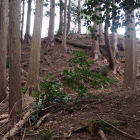 城郭南側の尾根から出曲輪を撮影
