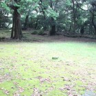本丸