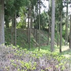 松源寺裏の土塁と五の堀