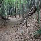 横堀と切岸