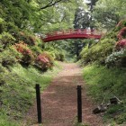 ２、３曲輪間堀切、赤い橋が架かってる